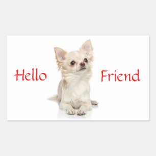Hello Friend Long Haired Chihuahua Sticker