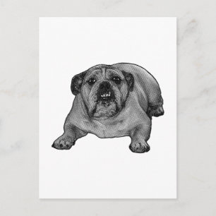 Hello from dotted jowls postcard