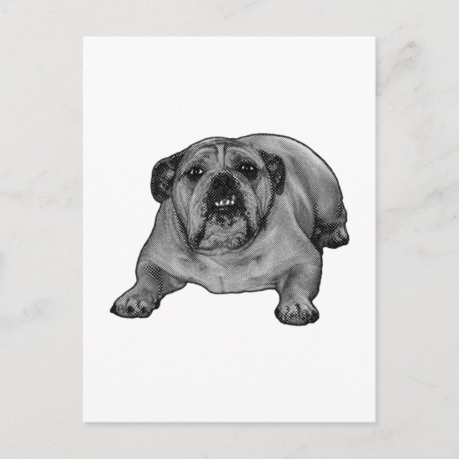 Hello from dotted jowls postcard (Front)