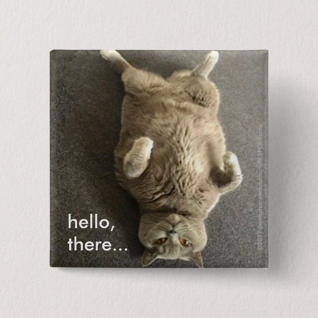 hello from Fiona the Big Blue Cat 15 Cm Square Badge (Front)