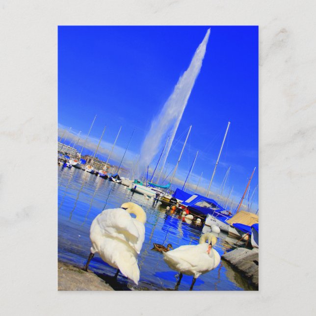 Hello from Geneva Postcard (Front)