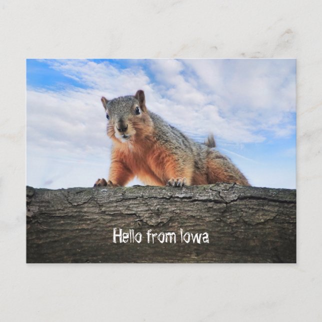 Hello From Iowa Postcard (Front)