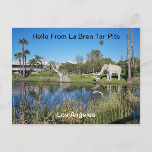 Hello From La Brea Tar Pits  Postcard