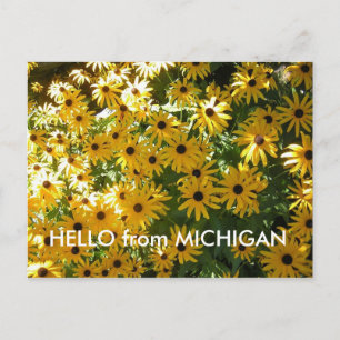 HELLO from MICHIGAN POST CARD POSTCARD