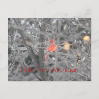 Hello from Michigan Postcard