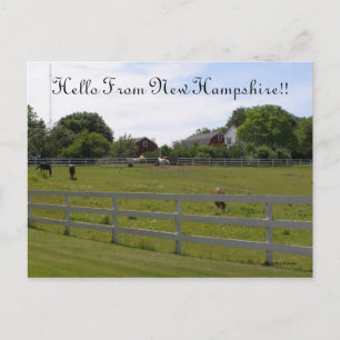Hello From New Hampshire Postcard