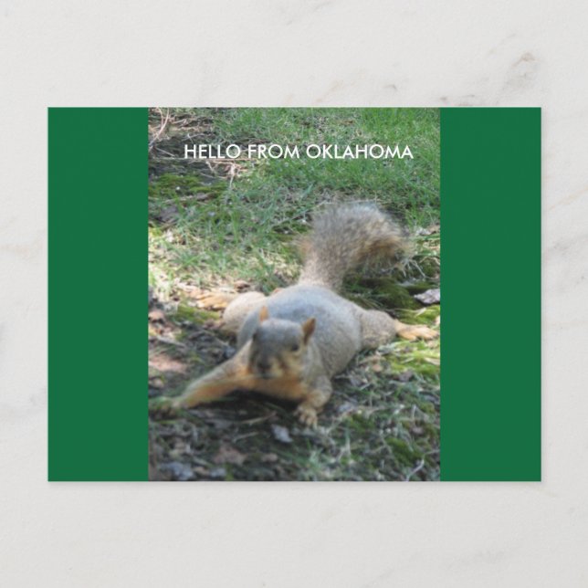 HELLO FROM OKLAHOMA POSTCARD (Front)