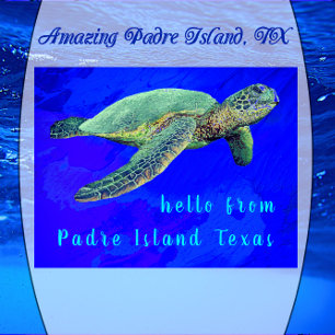 Hello from Padre Island TX Ocean Blue Sea Turtle Postcard