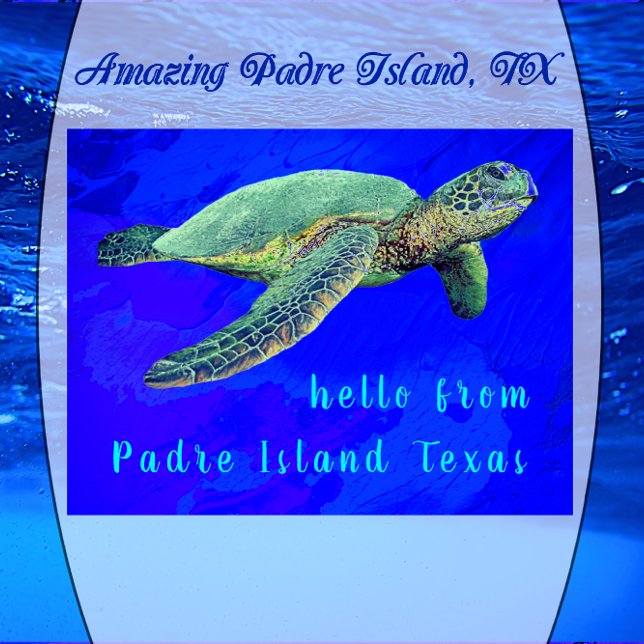 Hello from Padre Island TX Ocean Blue Sea Turtle Postcard (Creator Uploaded)