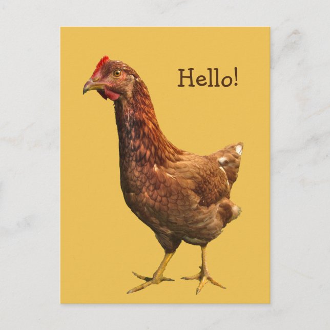 Hello from Red Hen Chicken Postcard (Front)