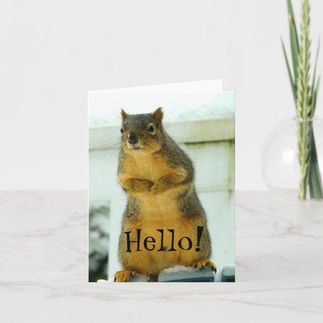 Hello from Squirrel Card (Front)
