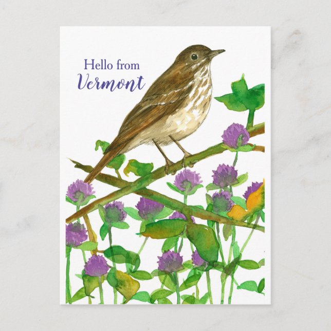 Hello from Vermont Hermit Thrush Purple Clover Postcard (Front)
