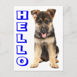 Hello German Shepherd Puppy Dog Blank Post Card