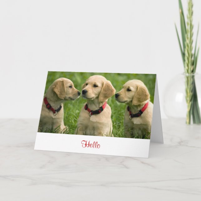 Hello Golden Retriever Puppies  Blank Note Card (Front)
