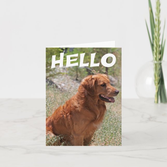Hello Golden Retriever Puppy Dog Blank Notecard (Front)