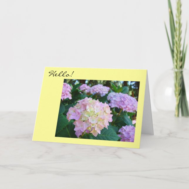 Hello! Greeting Cards Hope all is well You Family (Front)