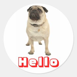 Hello Greeting Pug Puppy Dog Stickers