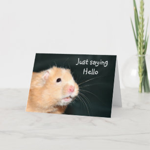Hello Hamster Card