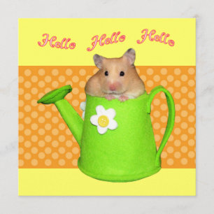 Hello hello hamster invitation