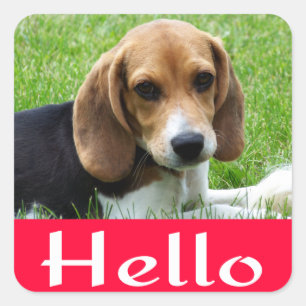 Hello / Hi Beagle Puppy Dog Red Greeting Sticker