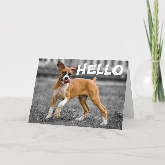 Hello / Hi Boxer Puppy Dog - Friendship, Miss You Card (Front)