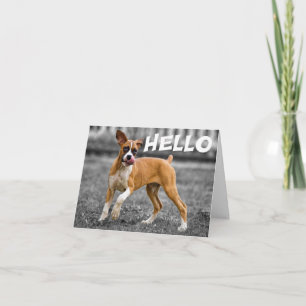 Hello / Hi Boxer Puppy Dog - Verse Card