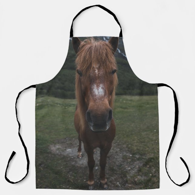 HELLO I AM A HORSE APRON (Front)