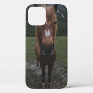 HELLO I AM A HORSE iPhone 12 CASE
