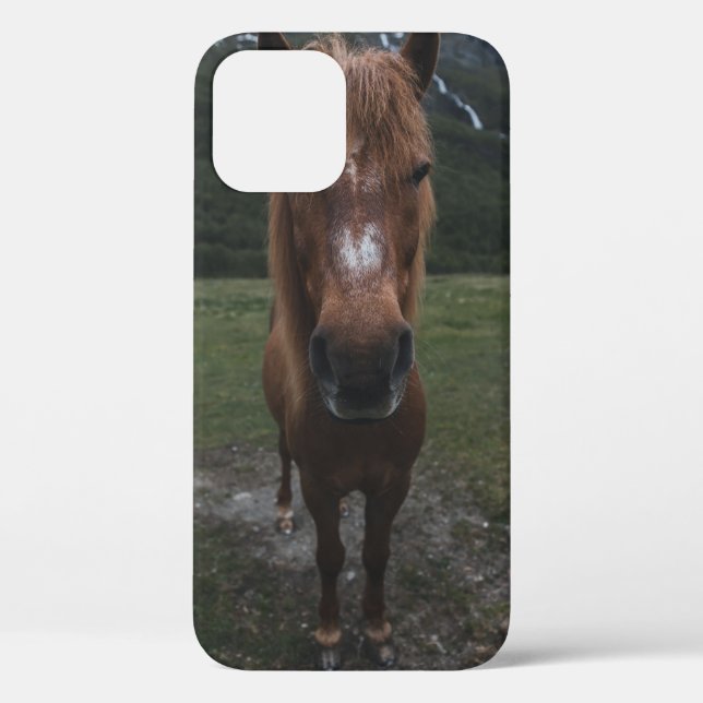 HELLO I AM A HORSE Case-Mate iPhone CASE (Back)