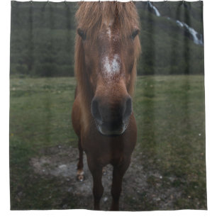 HELLO I AM A HORSE SHOWER CURTAIN