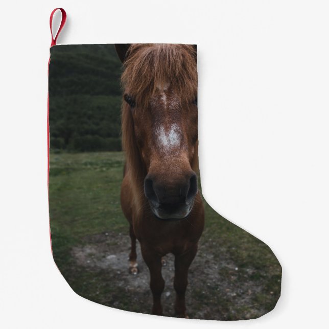HELLO I AM A HORSE SMALL CHRISTMAS STOCKING (Front)
