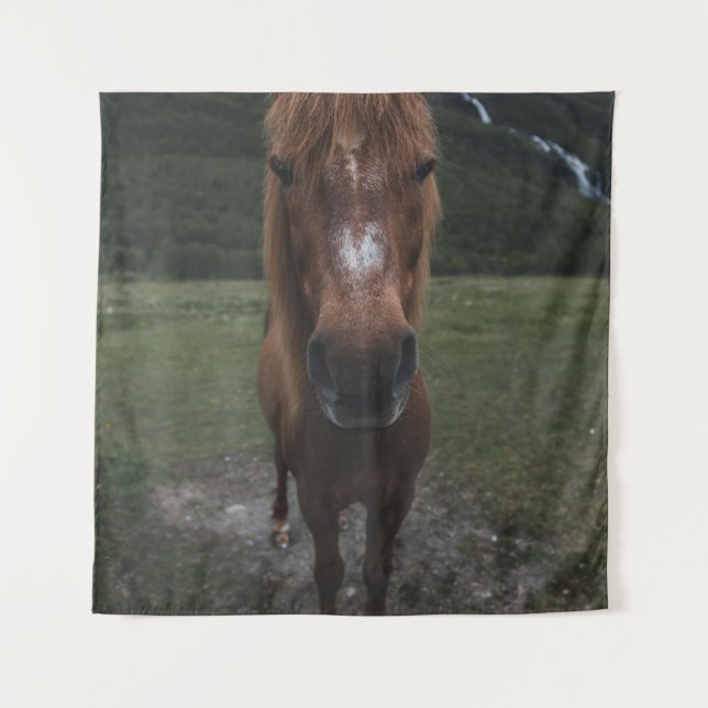 HELLO I AM A HORSE TAPESTRY (Front)