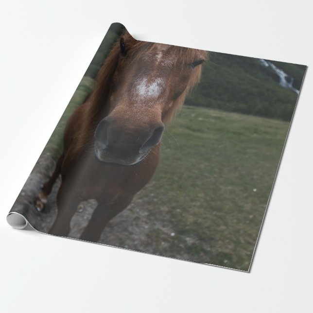 HELLO I AM A HORSE WRAPPING PAPER (Unrolled)