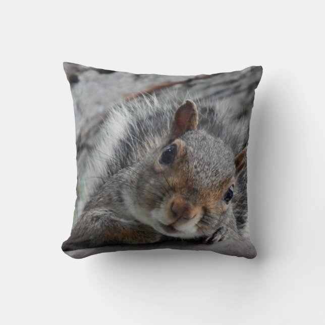 Hello I am Squirrel Cushion (Front)