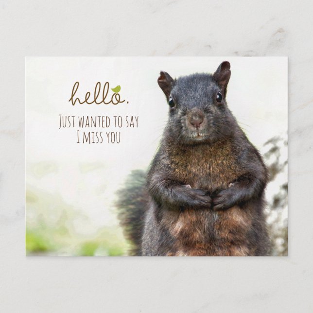 Hello I Miss You Postcard (Front)
