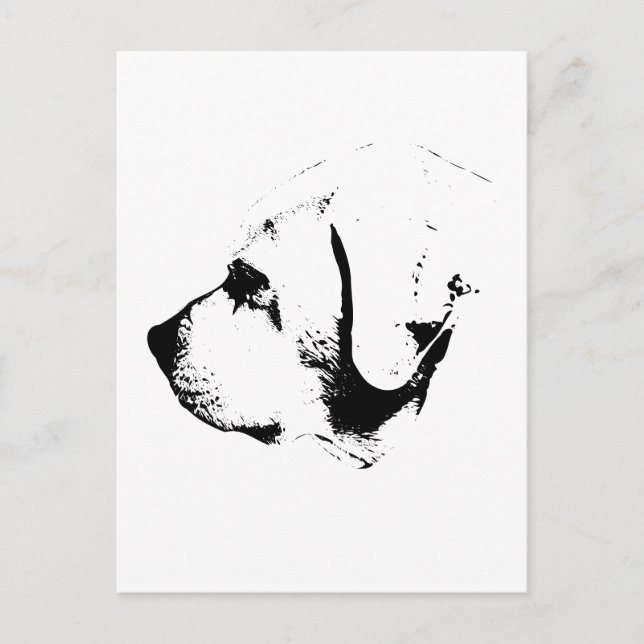 Hello in Black and White Postcard (Front)