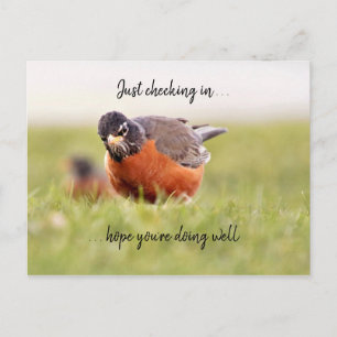 Hello--Just Checking In Postcard