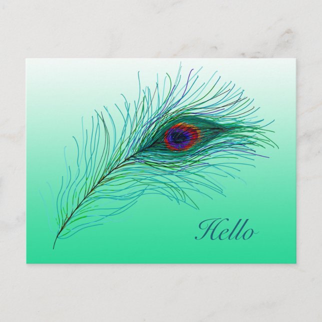 Hello, Keeping in Touch Peacock Feathers Postcard (Front)
