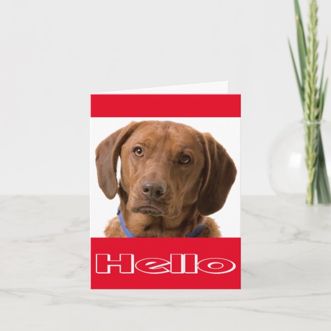 Hello Labrador Retriever Puppy Dog Note Card (Front)