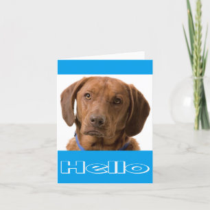 Hello Labrador Retriever Puppy Dog Note Card
