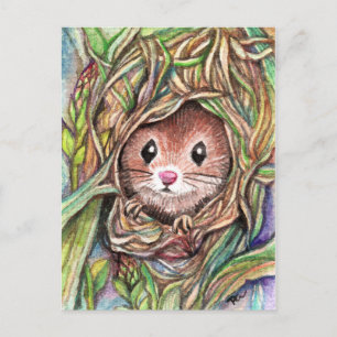 Hello Little Friend Postcard