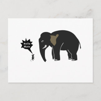 Hello Mate! Postcard