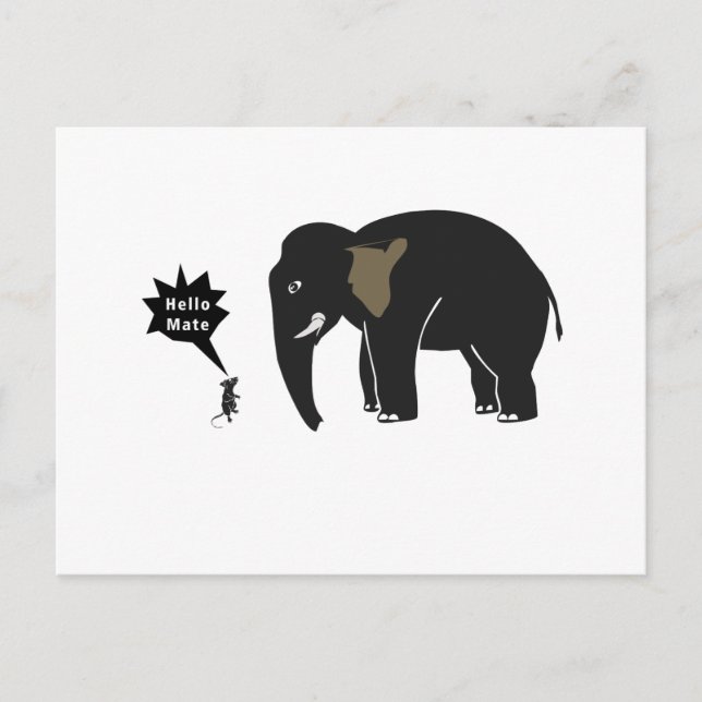 Hello Mate! Postcard (Front)