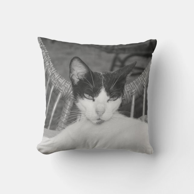 Hello, Meow... Cushion (Front)