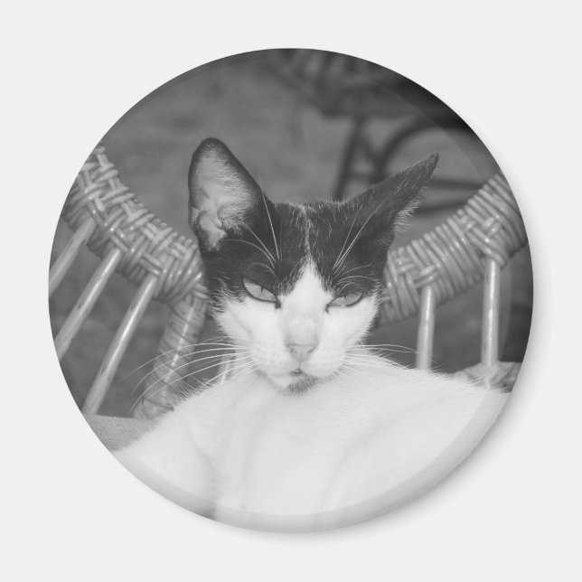 Hello, Meow... Magnet (Front)