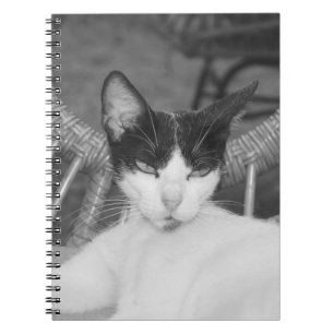 Hello, Meow... Notebook