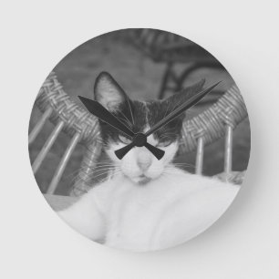 Hello, Meow... Round Clock