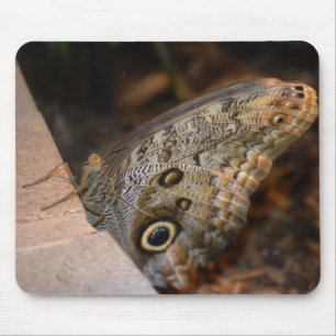 Hello! Mouse Pad