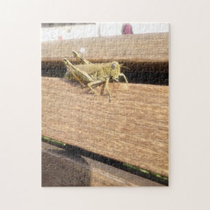 Hello Mr. Grasshopper! Jigsaw Puzzle