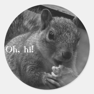 Hello, Mr Squirrel! Classic Round Sticker